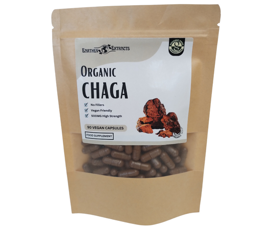 Chaga Mushroom Supplement Capsules x90