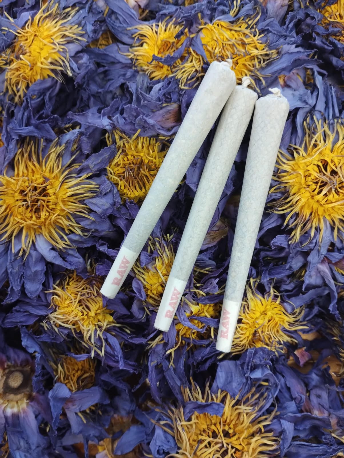 Blue Lotus Pre Rolls (King Size) - Earthen Extracts