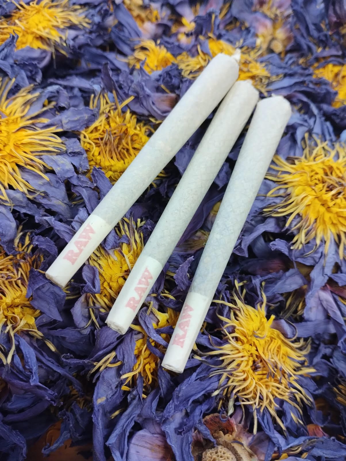 Blue Lotus Pre Rolls (King Size) - Earthen Extracts