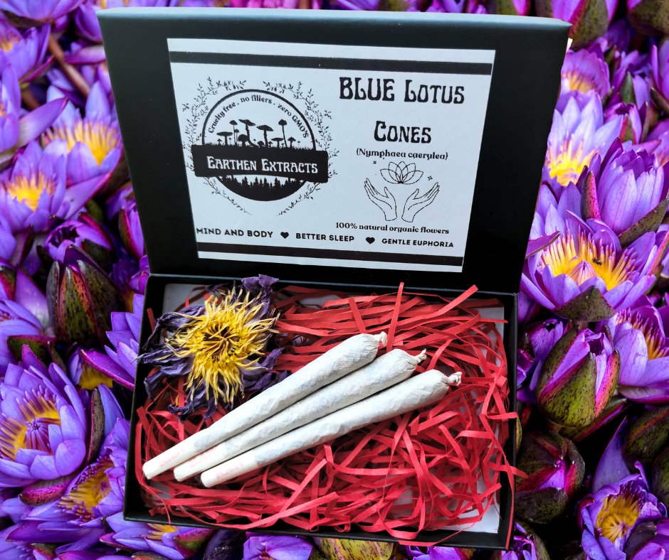 Blue Lotus Pre Rolls (King Size) - Earthen Extracts